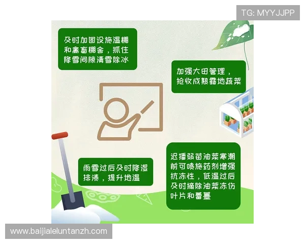 九游官网百家乐官网账号安全保护措施与防作弊策略