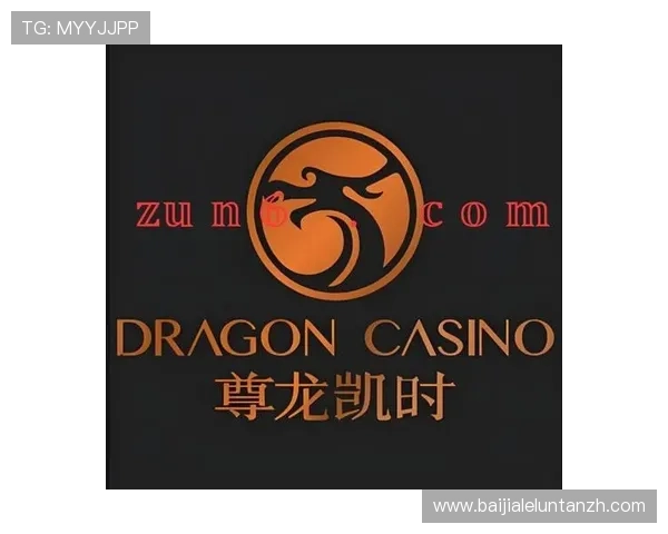 z6com尊龙凯时百家乐的技术支持与客户服务质量全面评测